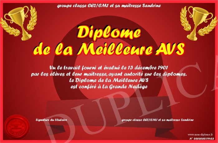 diplome pour etre avs